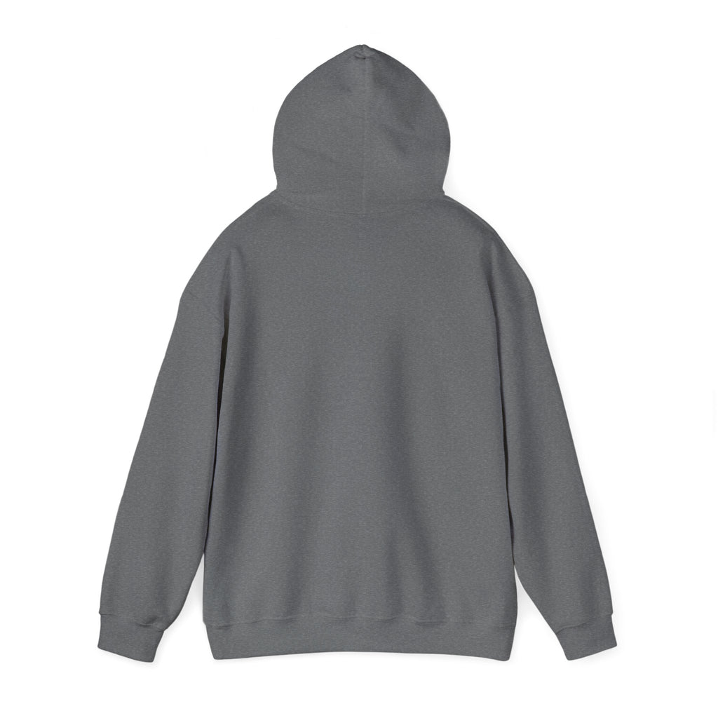 Hoodie — Lisa’s Escapade Neon Mountain Logo