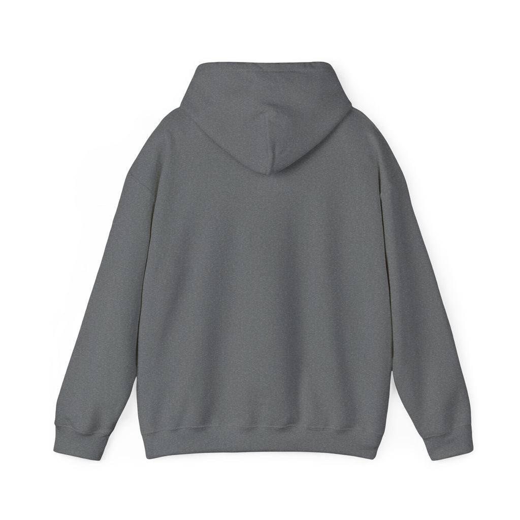Hoodie — Lisa’s Escapade Neon Mountain Logo