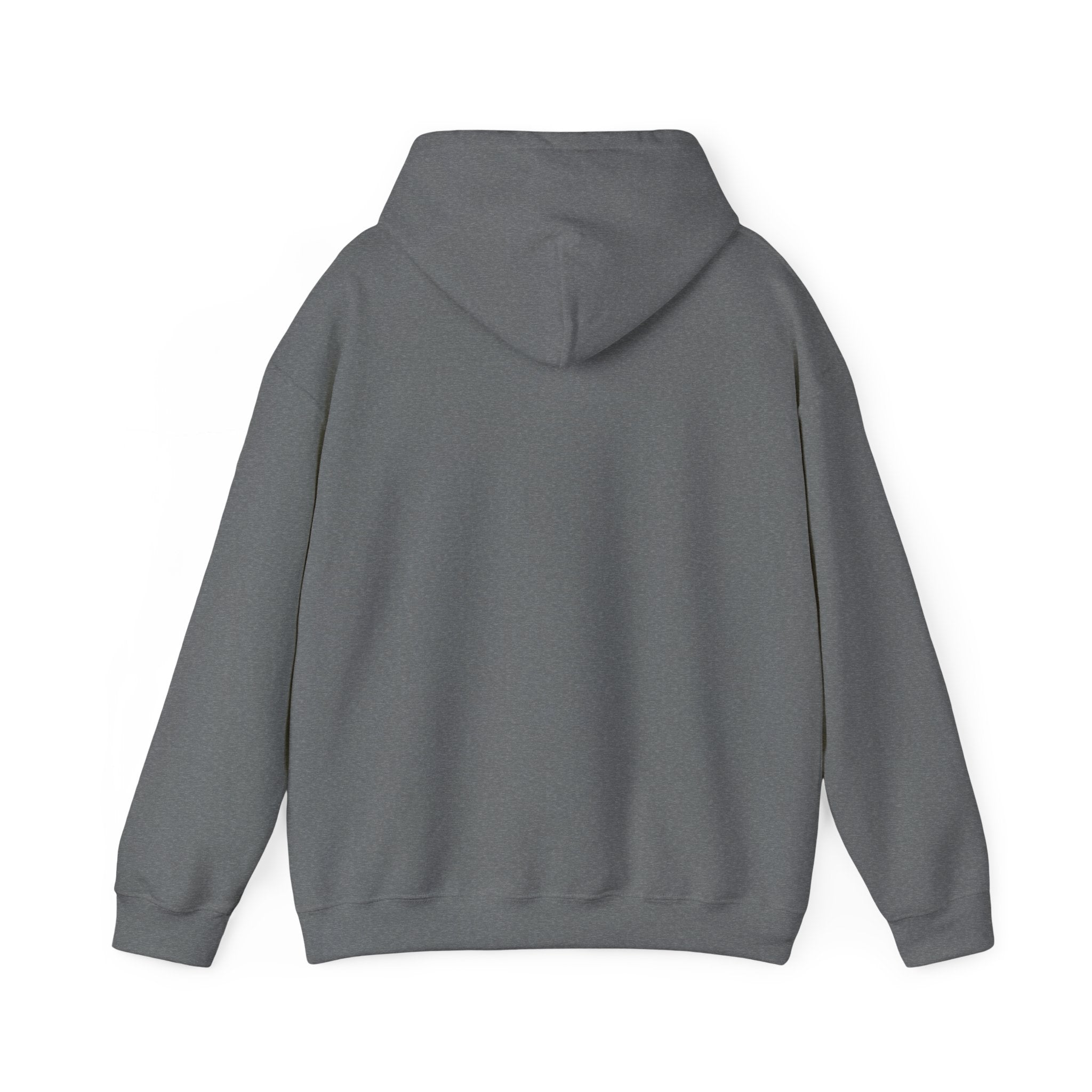 Hoodie — Lisa’s Escapade Neon Mountain Logo