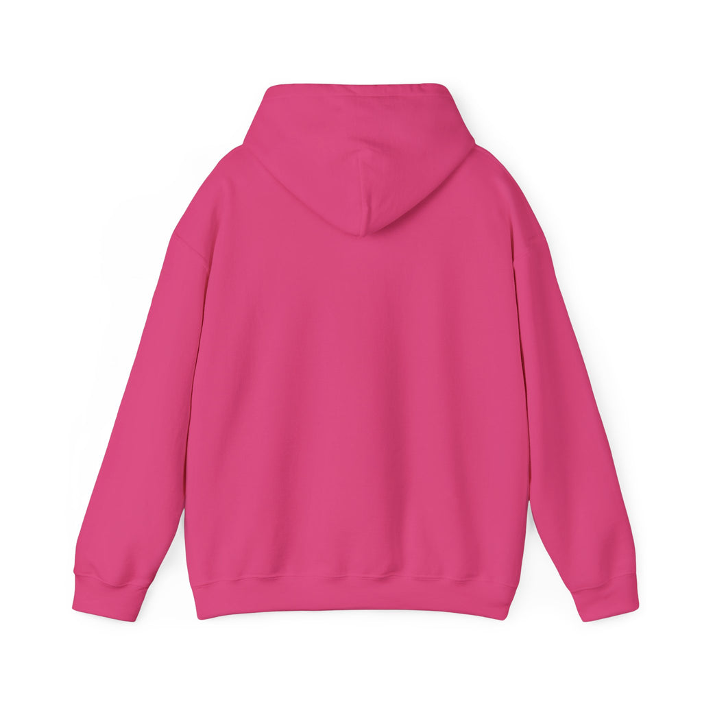 Hoodie — Lisa’s Escapade Neon Mountain Logo