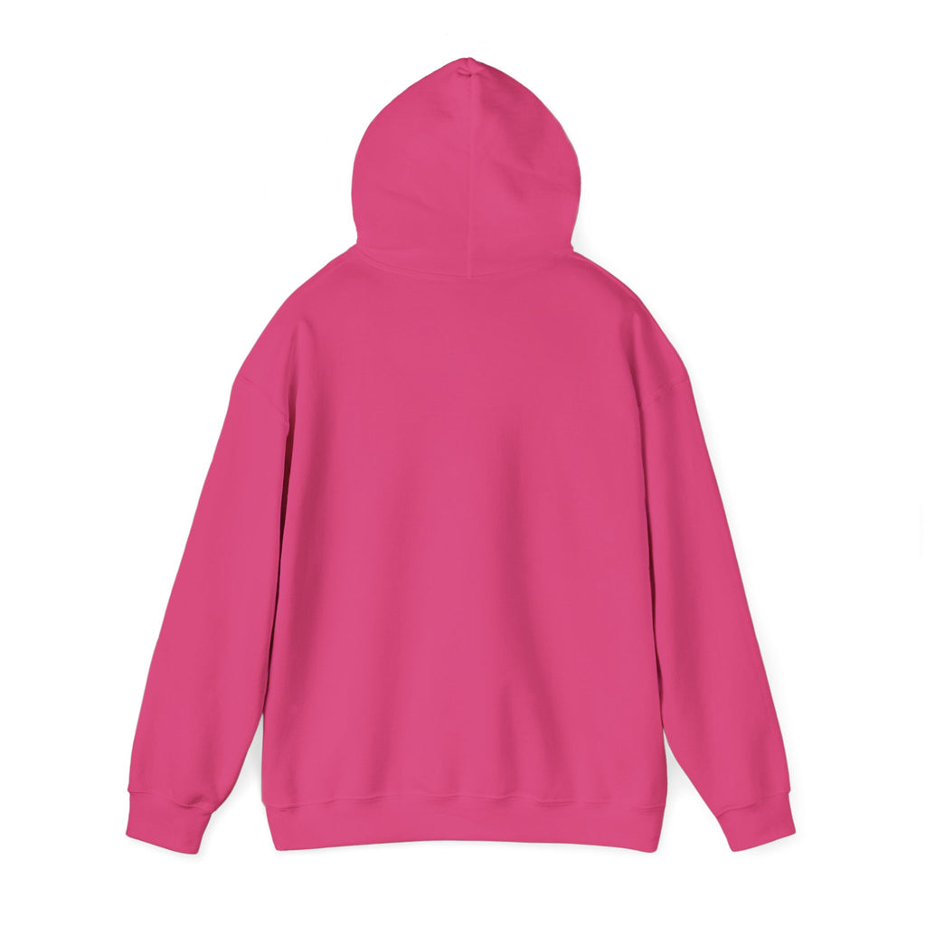 Hoodie — Lisa’s Escapade Neon Mountain Logo