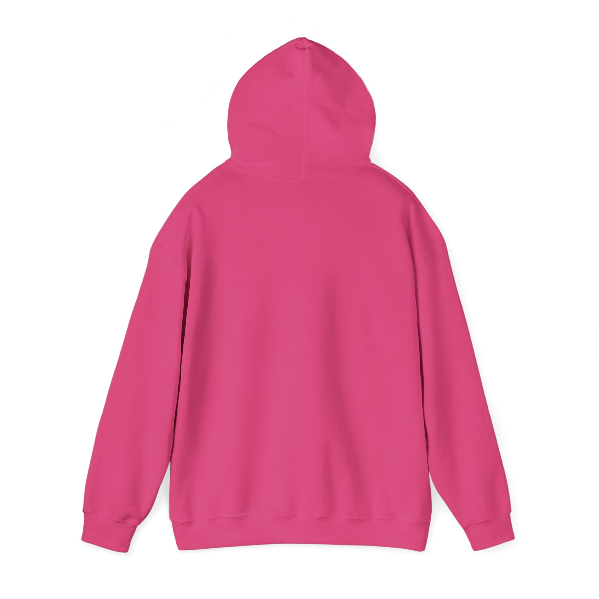 Hoodie — Lisa’s Escapade Neon Mountain Logo