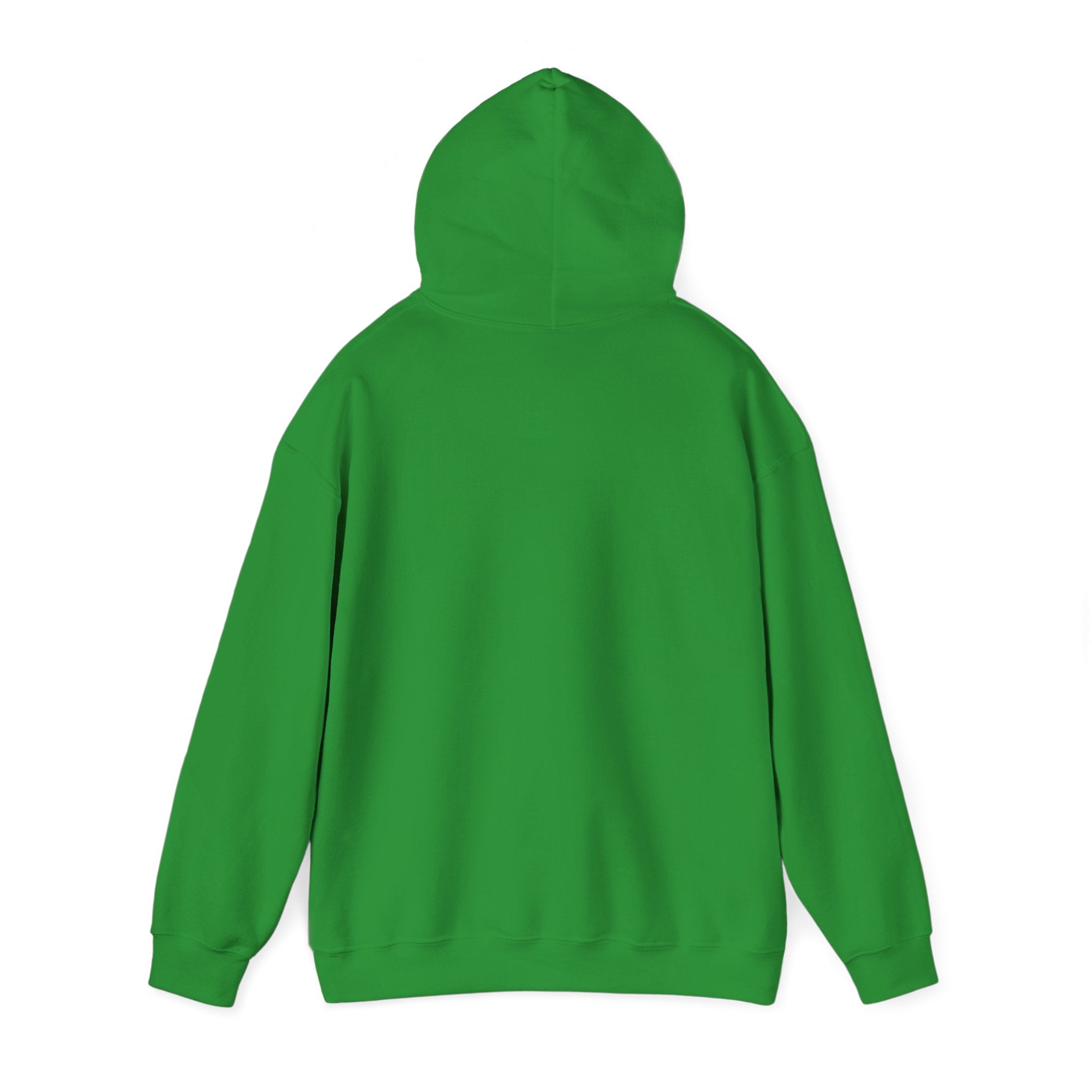 Hoodie — Lisa’s Escapade Neon Mountain Logo