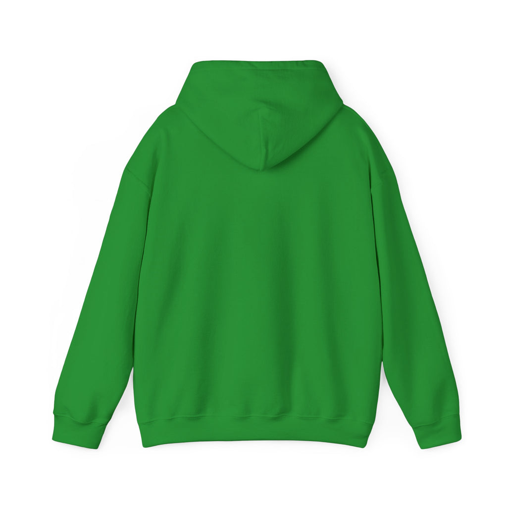 Hoodie — Lisa’s Escapade Neon Mountain Logo