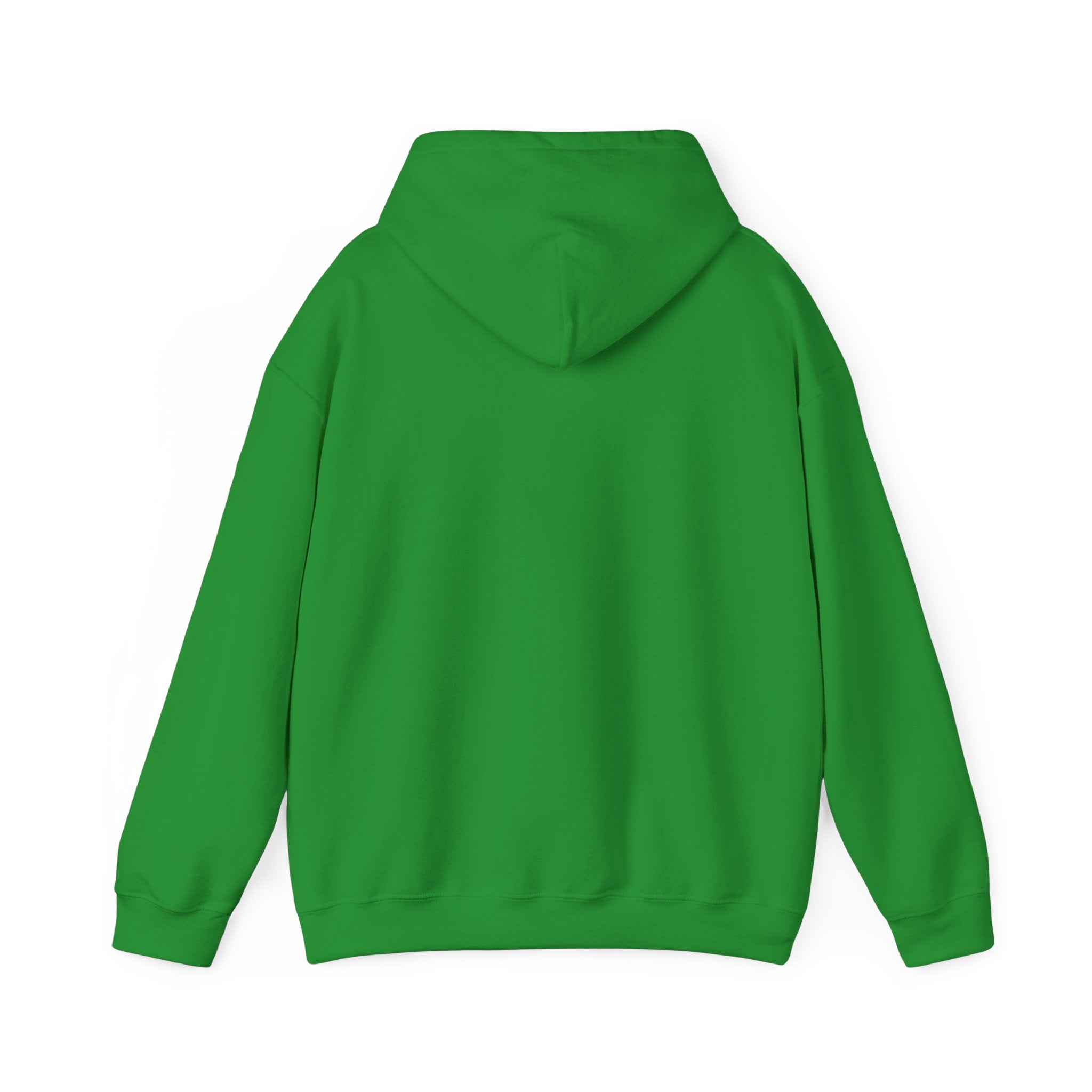 Hoodie — Lisa’s Escapade Neon Mountain Logo
